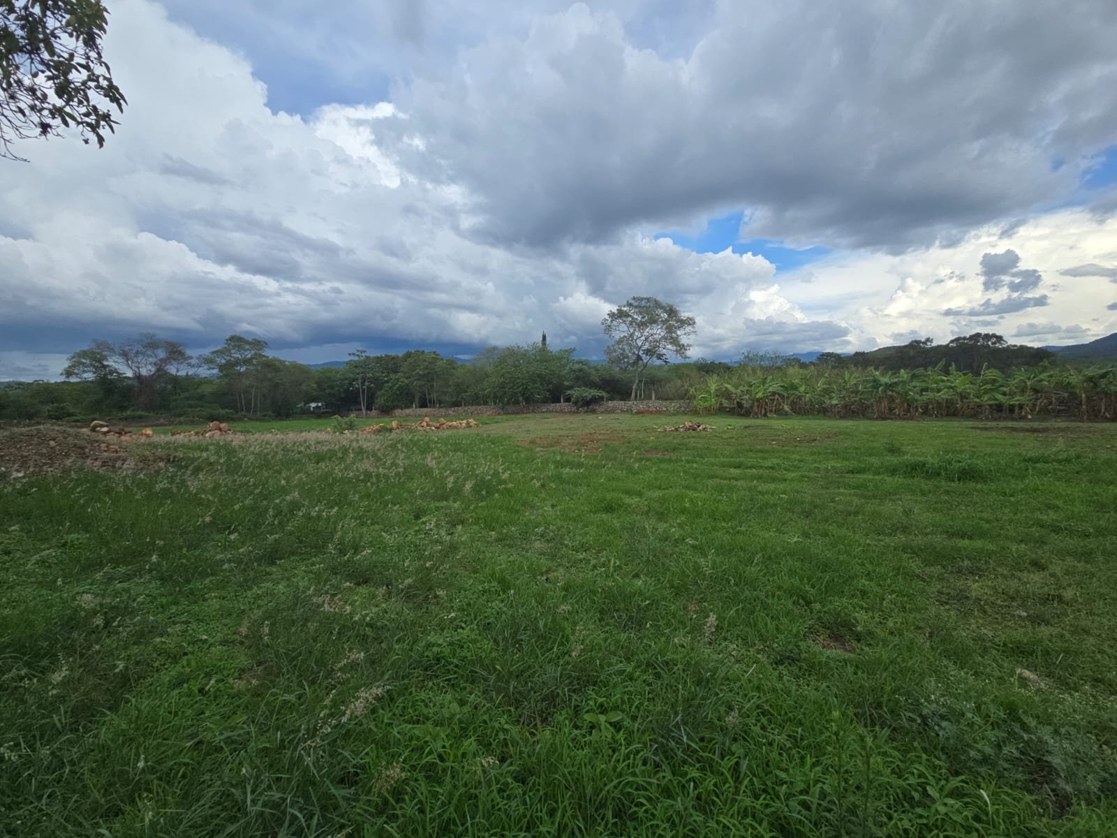 Vista del terreno con cielo nublado y árboles al fondo